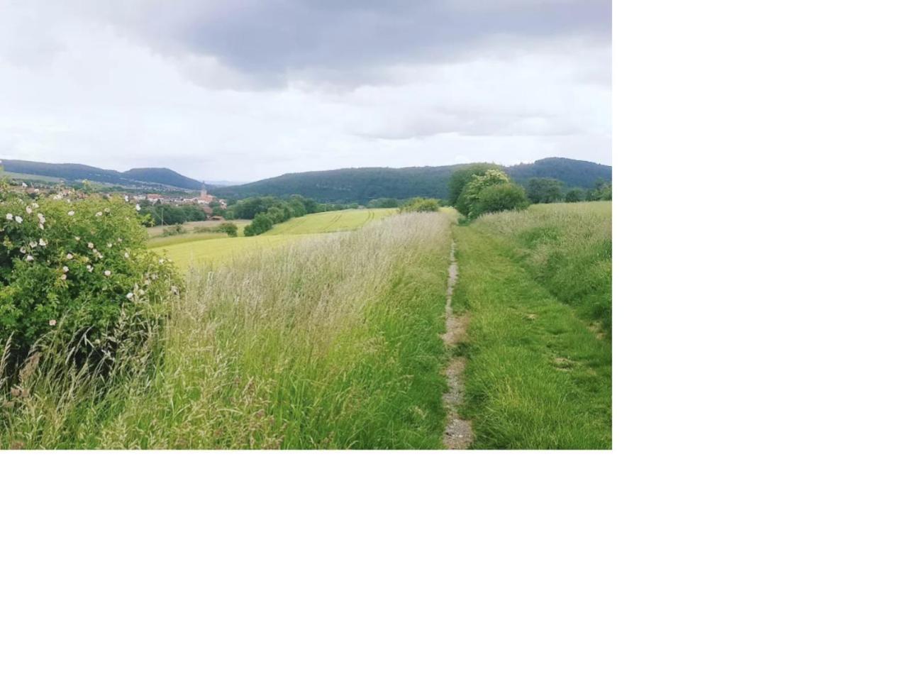 Frielendorf Natur Pur מראה חיצוני תמונה