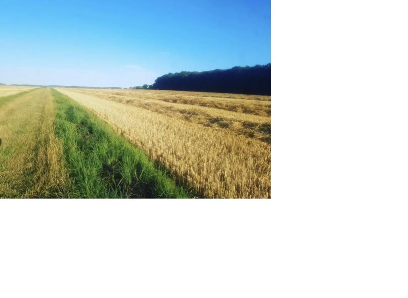 Frielendorf Natur Pur מראה חיצוני תמונה
