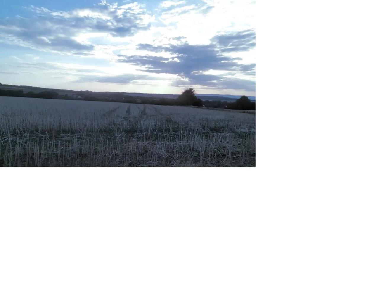 Frielendorf Natur Pur מראה חיצוני תמונה